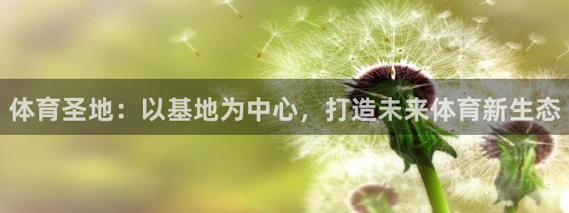体育圣地：以基地为中心，打造未来体育新生态