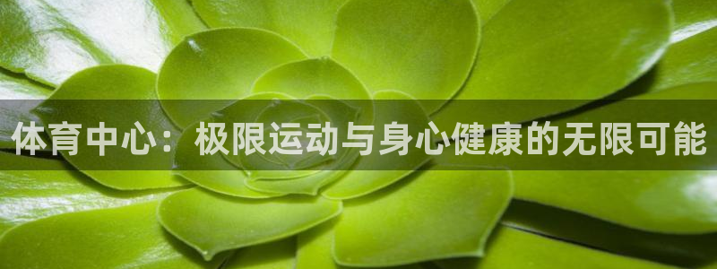 体育中心：极限运动与身心健康的无限可能