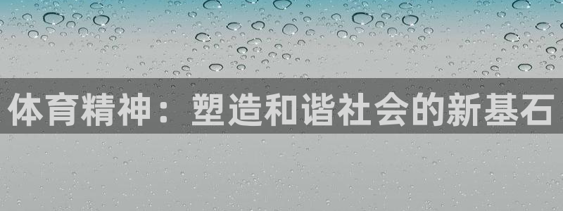 体育精神：塑造和谐社会的新基石