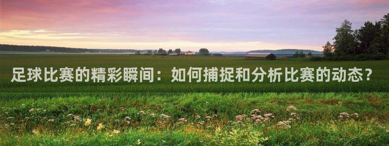 足球比赛的精彩瞬间：如何捕捉和分析比赛的动态？