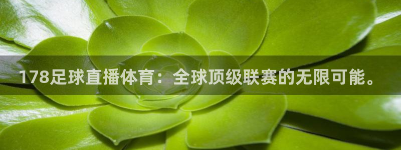178足球直播体育：全球顶级联赛的无限可能。