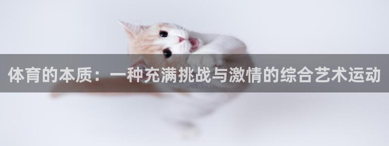 体育的本质：一种充满挑战与激情的综合艺术运动