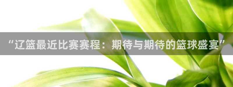 “辽篮最近比赛赛程：期待与期待的篮球盛宴”