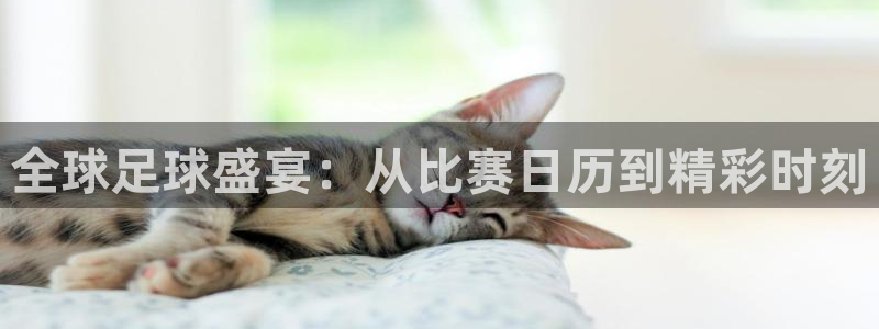 雷速体育足球比分：全球足球盛宴：从比赛日历到精彩时刻