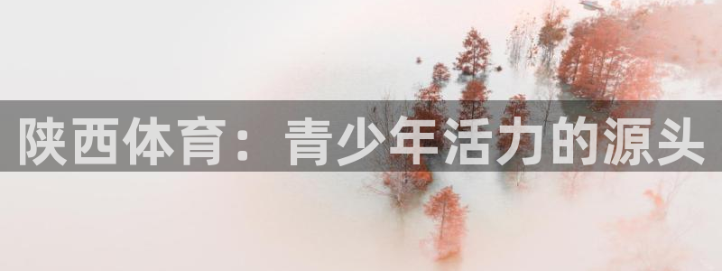 雷速体育网球比分官网：陕西体育：青少年活力的源头