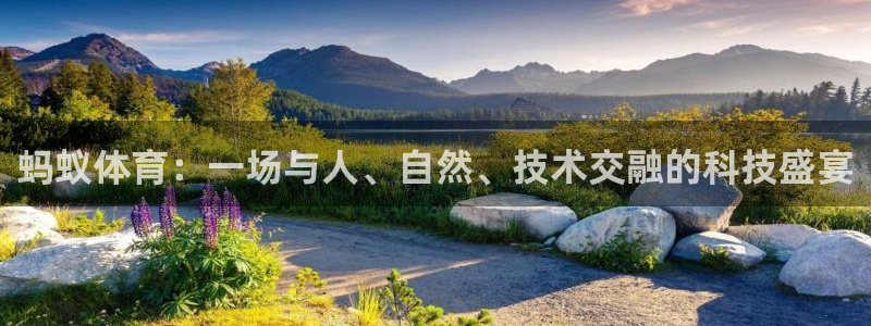 雷速体育下载