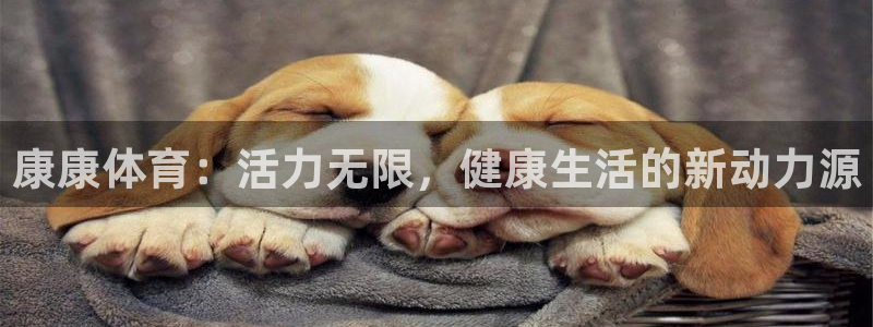 雷速体育比分网