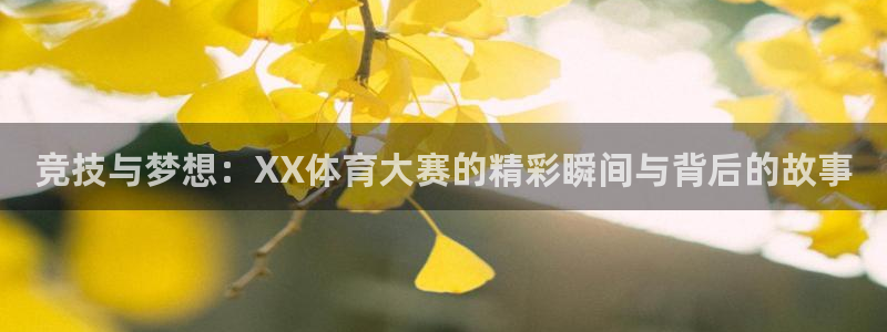 网球雷速体育比分：竞技与梦想：XX体育大赛的精彩瞬间与背后的故事