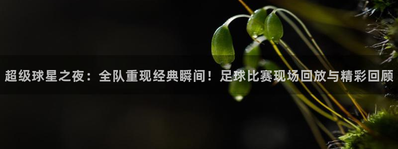 雷速体育篮球比分：超级球星之夜：全队重现经典瞬间！足球比赛现场回放与精彩回顾