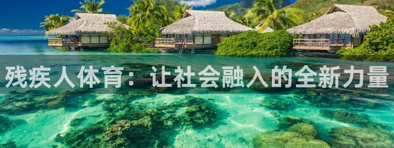 雷速体育比分 篮球：残疾人体育：让社会融入的全新力量