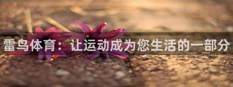 雷速体育比分 篮球：雷鸟体育：让运动成为您生活的一部分