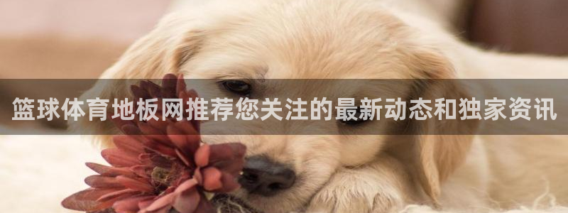 雷速体育官网：篮球体育地板网推荐您关注的最新动态和独家资讯