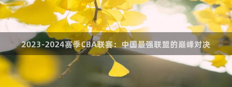 网球雷速体育比分：2023-2024赛季CBA联赛：中国最强联盟的巅峰对决