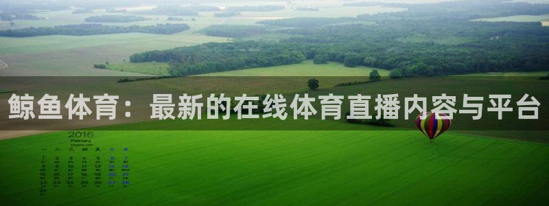 雷速体育app官网下载：鲸鱼体育：最新的在线体育直播内容与平台