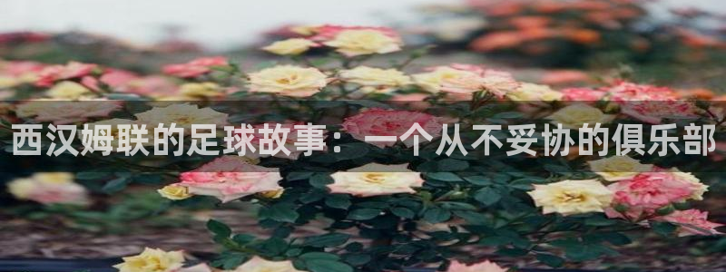 雷速体育官方网站：西汉姆联的足球故事：一个从不妥协的俱乐部