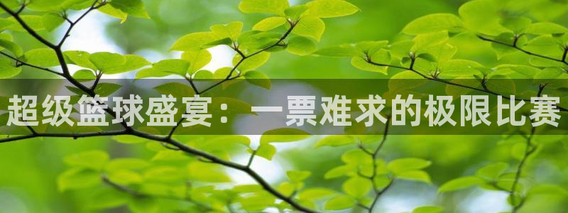 意甲雷速体育最新比分：超级篮球盛宴：一票难求的极限比赛