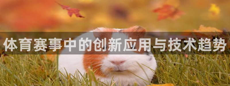 德乙雷速体育最新比分：体育赛事中的创新应用与技术趋势