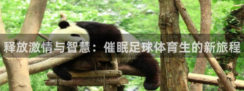 雷速体育官方正版下载app：释放激情与智慧：催眠足球体育生的新旅程