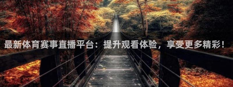 雷速体育即时比分：最新体育赛事直播平台：提升观看体验，享受更多精彩！