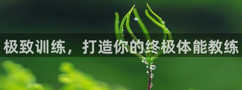 雷速体育app官网：极致训练，打造你的终极体能教练