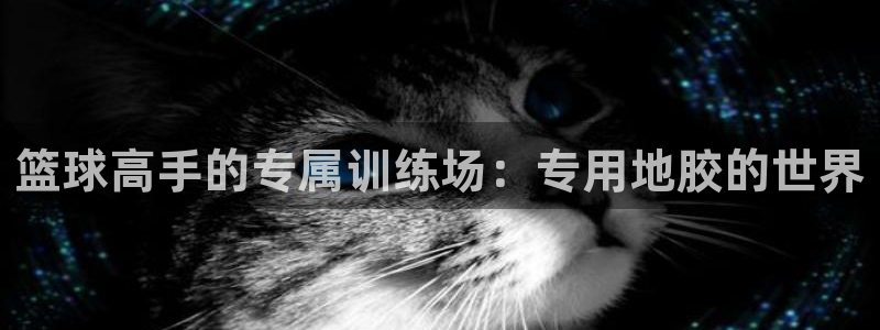 雷速体育下载：篮球高手的专属训练场：专用地胶的世界