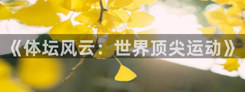 雷速体育足球直播：《体坛风云：世界顶尖运动》